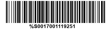 %S0017001119251