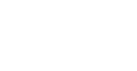 ingenico