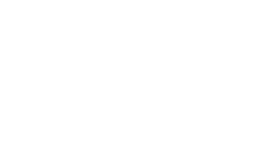 verifone